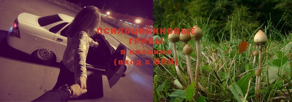 ECSTASY Абдулино