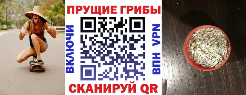 kraken зеркало  Хабаровск  Галлюциногенные грибы ЛСД 