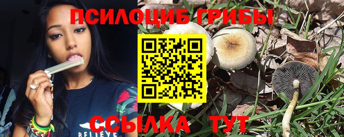 Хабаровск  Метамфетамин  Бошки Шишки  Меф кристаллы  ЭКСТАЗИ  Вход с VPN  Гашиш 